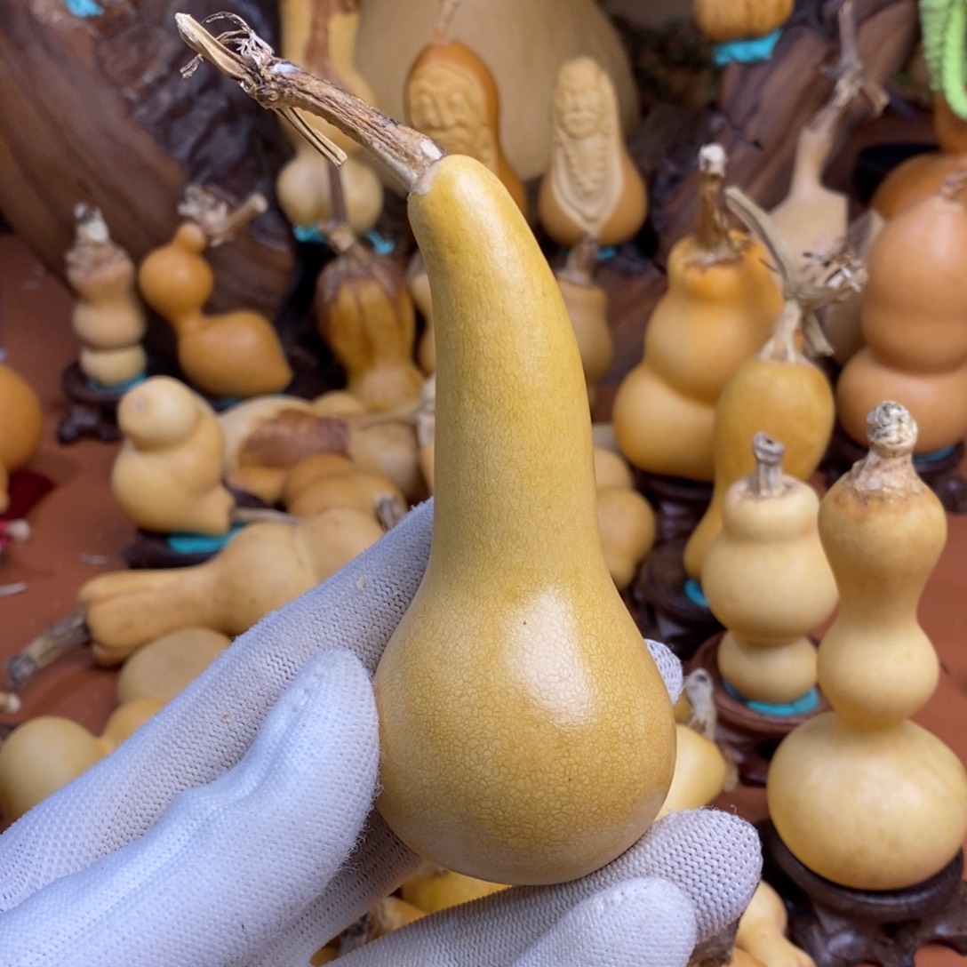 快****咯哇教练局长呀教练问我