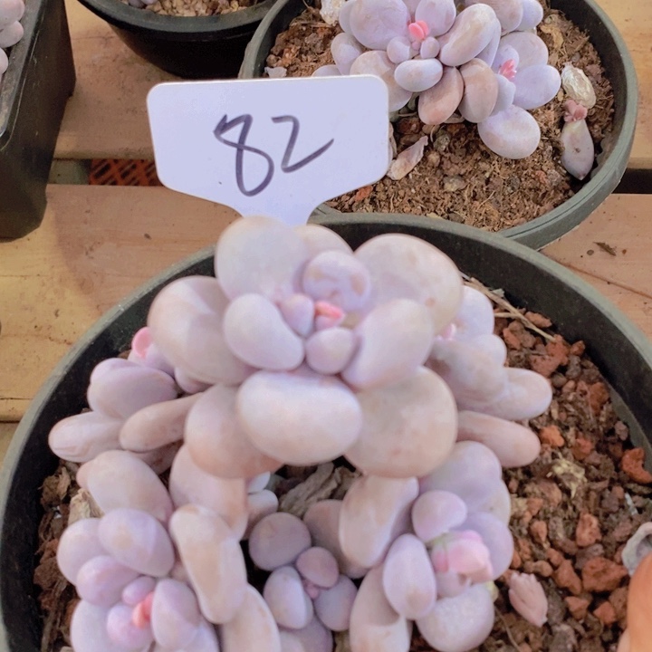 这种事情不知道能不能