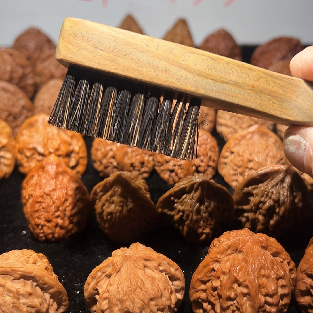 核桃其他小****悔刷子