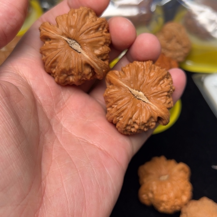 核桃秦**禁球白，41。已打底