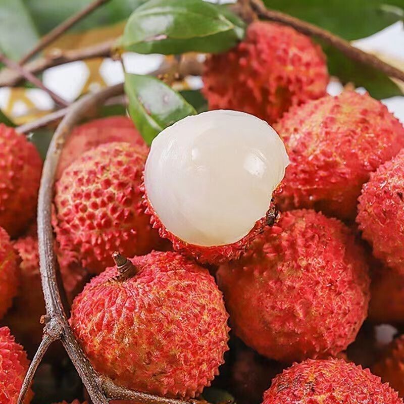 广东高州桂味荔枝老树果园现摘现发果香浓郁肉厚多汁冷链包邮5斤荔枝同城送