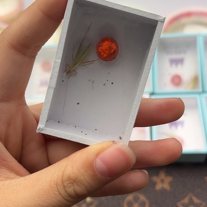 怪叫竹蛉两只———-