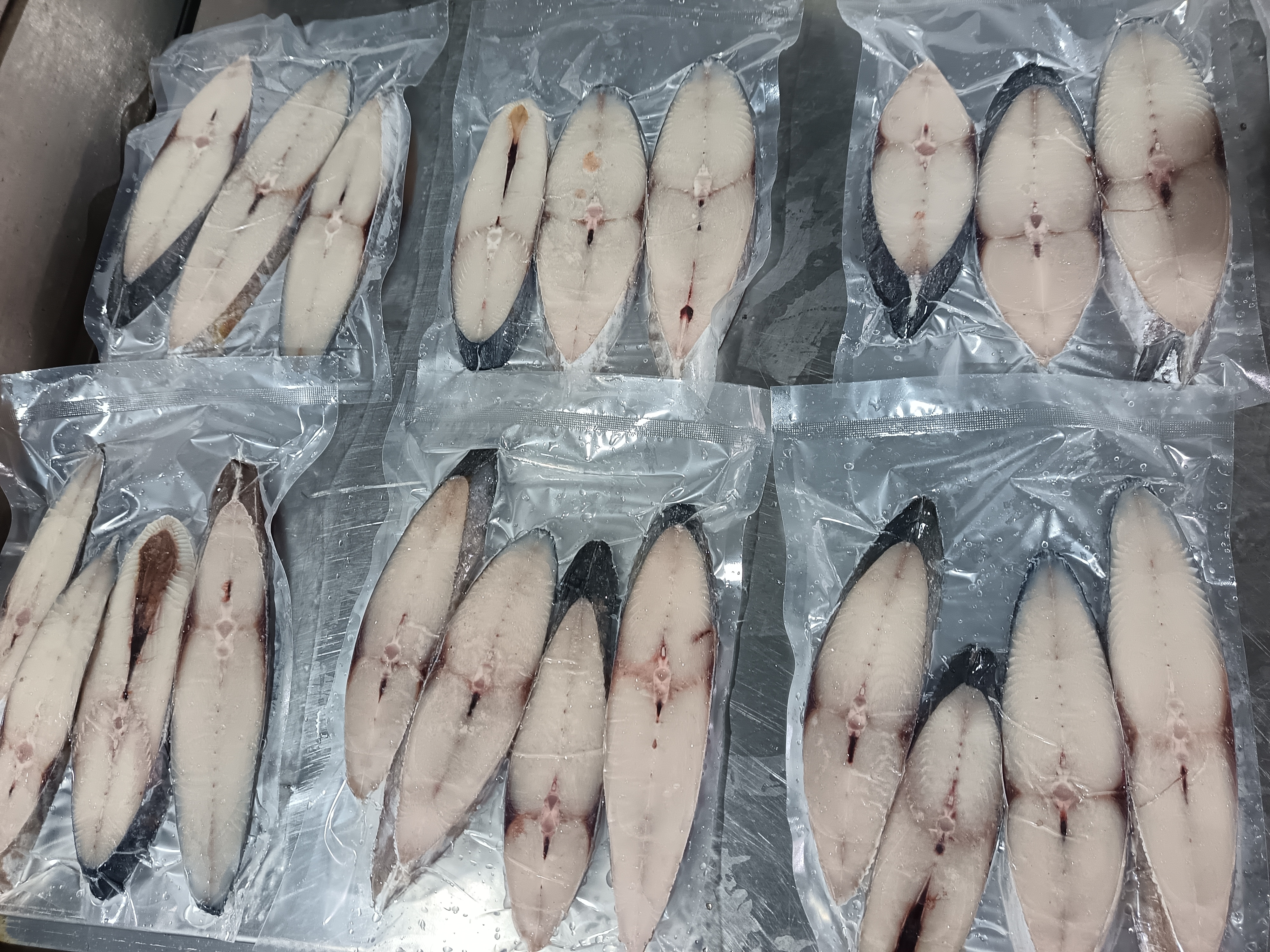 博贺港大马鲛鱼中段切片3斤（3片-4片/斤）去头去尾顺丰包邮新鲜