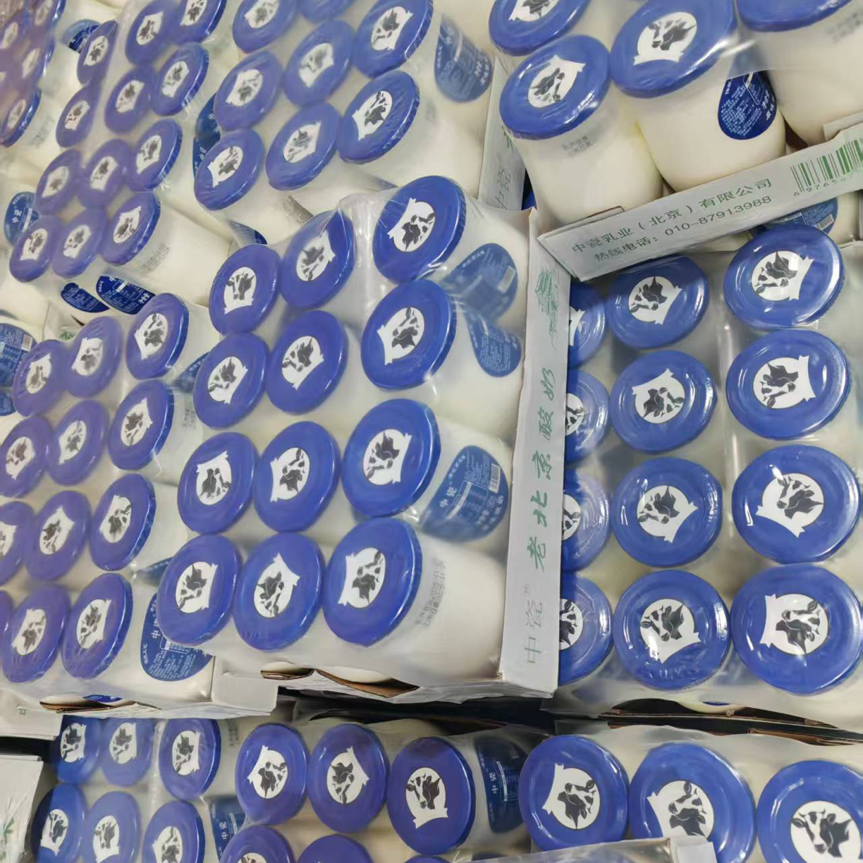 中瓷老北京风味原味酸奶180克/瓶