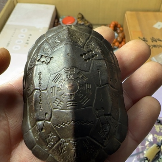 绿**林如图所示所拍即所得