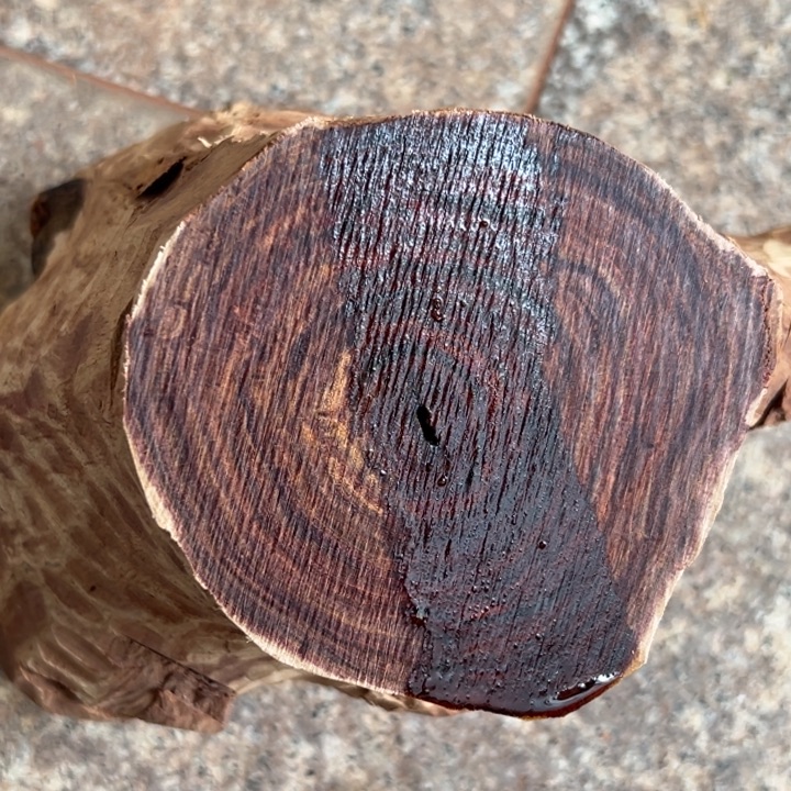 小***.黄花梨/降香黄檀其他