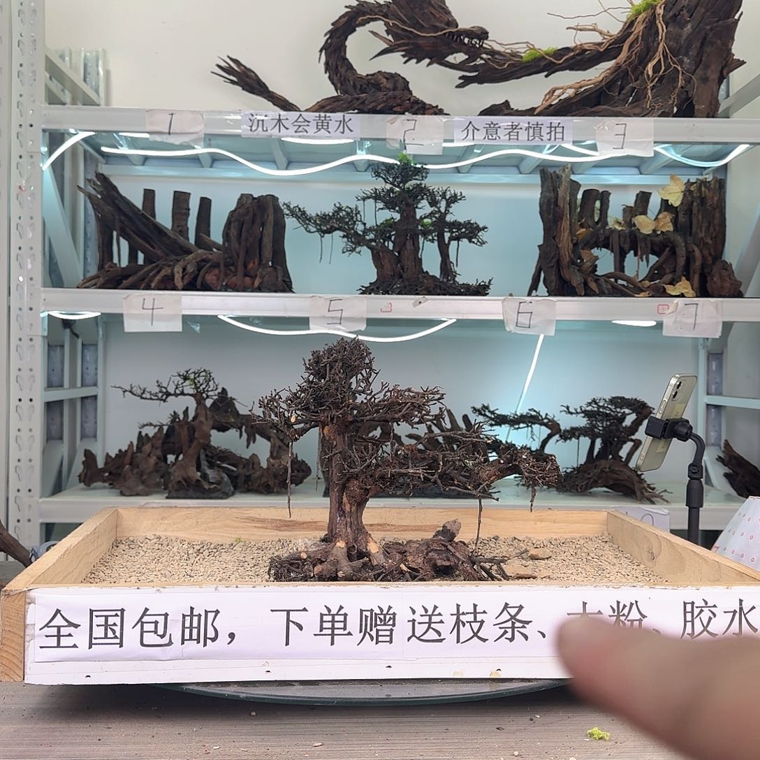 晞***宝沉木造景沉木造景