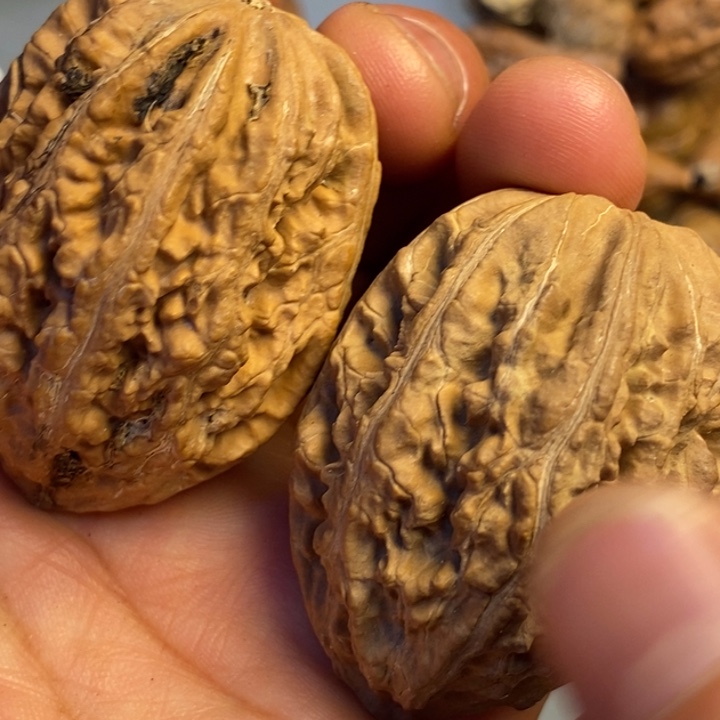 文玩核桃吊坠拿姐99