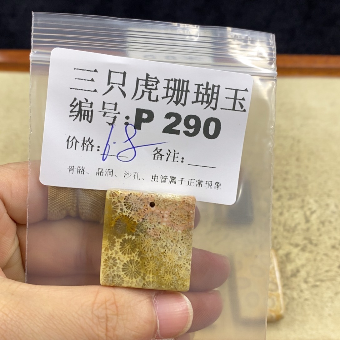 硅化珊瑚（珊瑚玉）1未镶嵌巴****?