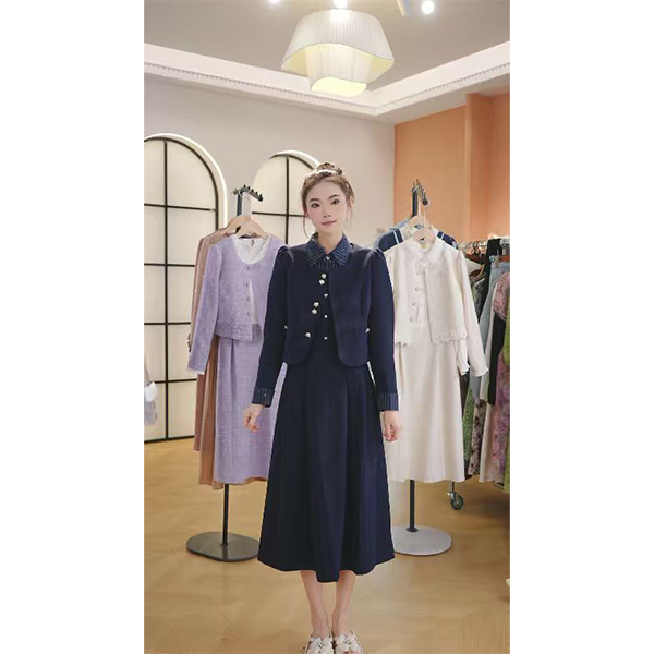L9664 2025年秋季新款时尚气质百搭修身显瘦中长款连衣裙+外套