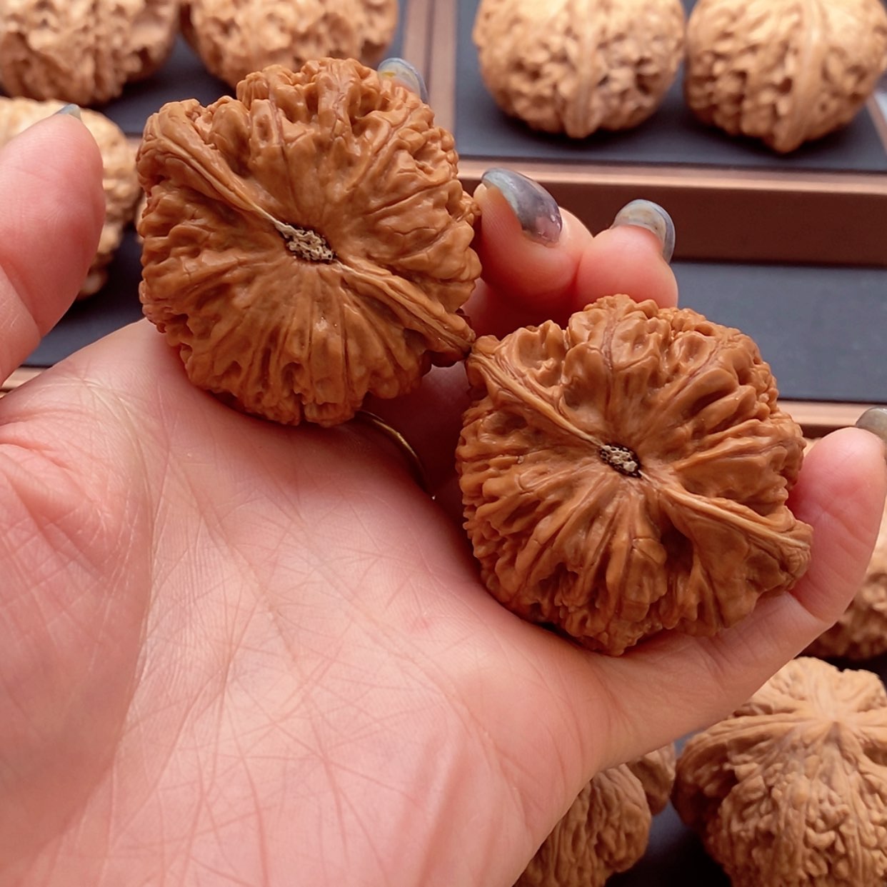 【闪购商品】把件文玩核桃感*粗筋46，修