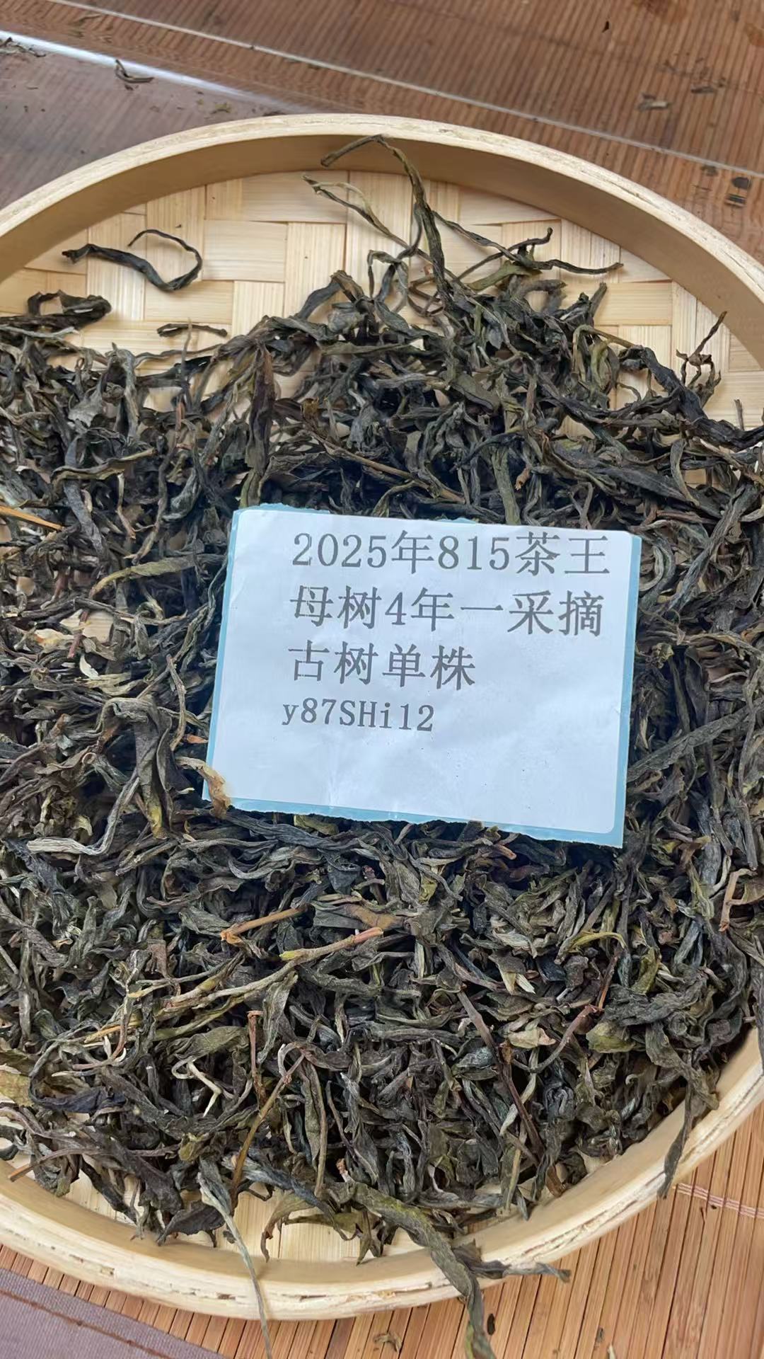 2025年八一五茶王母树4年一采摘古树单株散茶y87SHi12-968