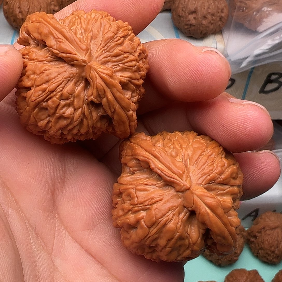 桃核把件全品白狮子42