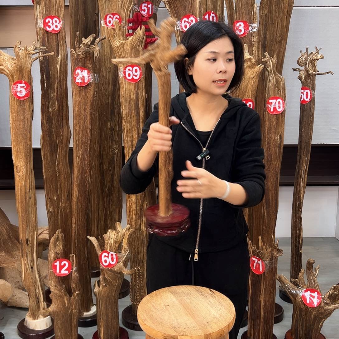 沉香摆件海南沉香摆件