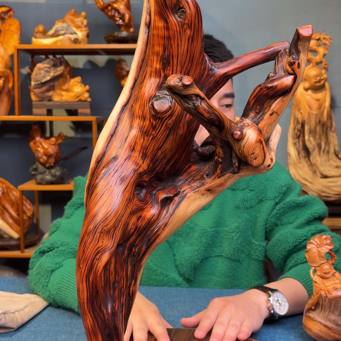 柏木（崖柏）太行崖柏