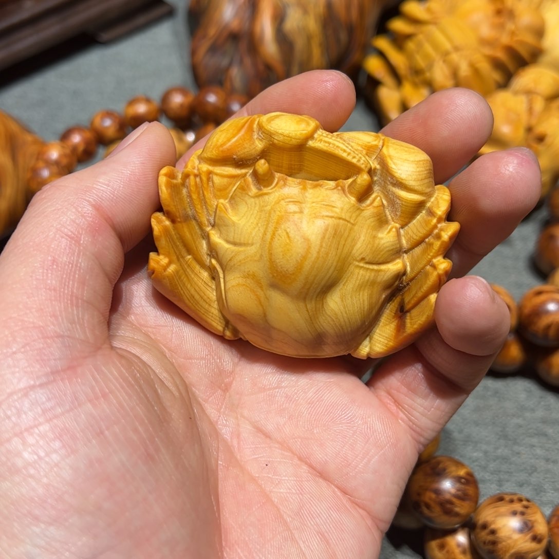 太行崖柏陈化太行