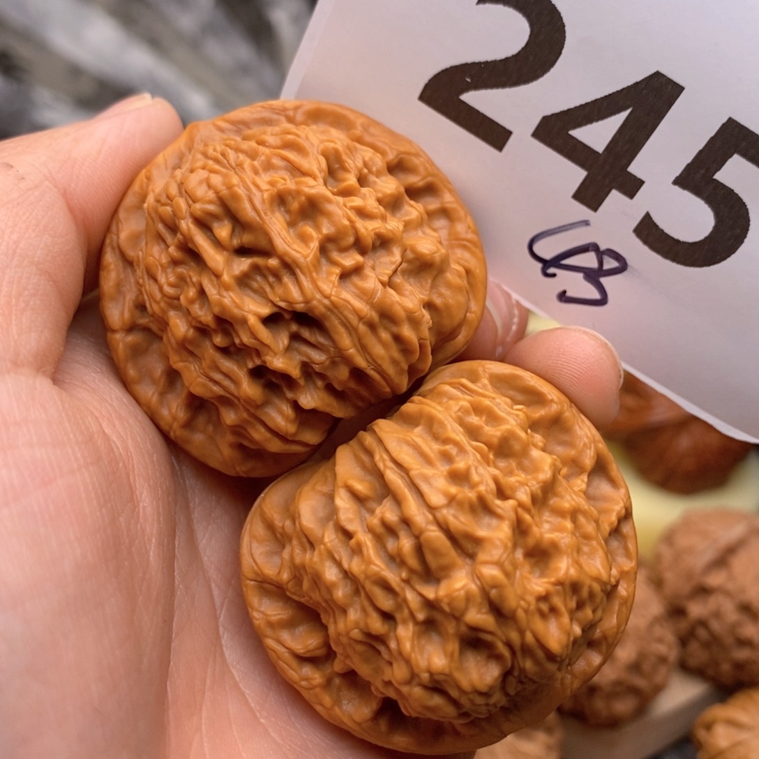 文玩核桃把件245号43红狮子