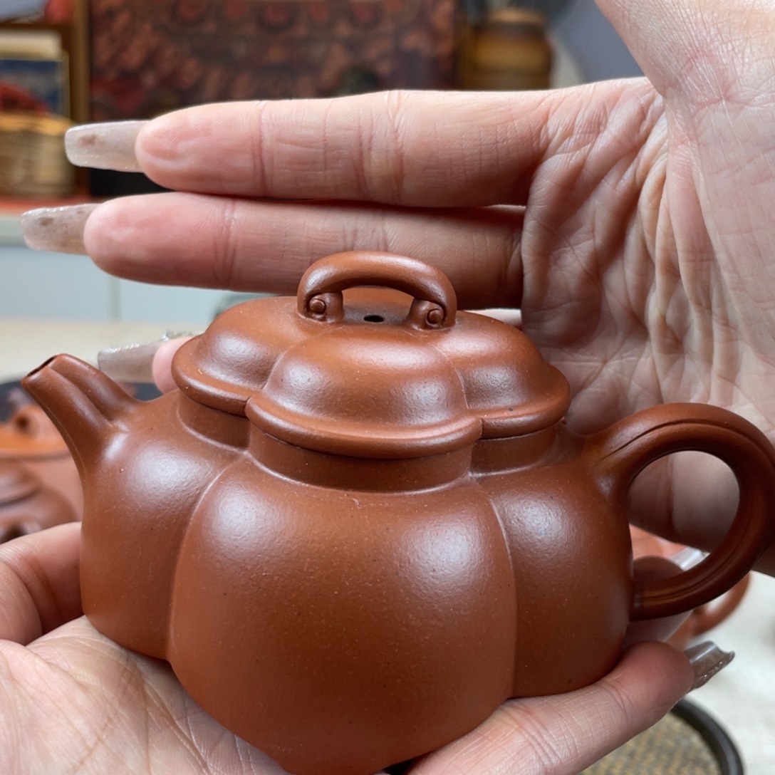 紫砂茶壶用****9大美小美放福利喽