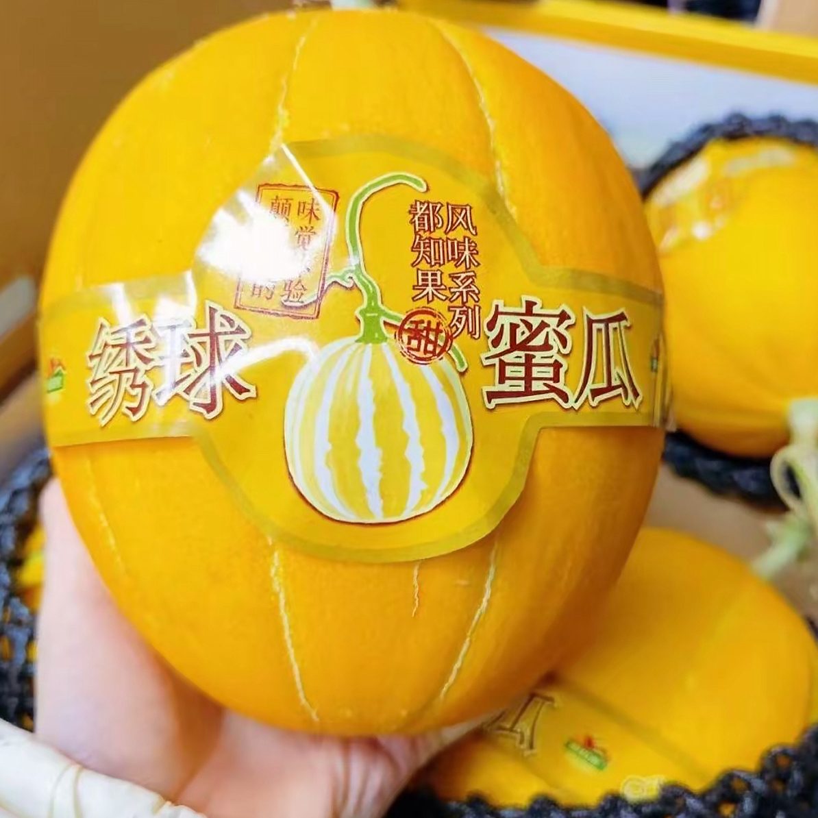 顺丰京东（空运）海南黄金蜜瓜新鲜