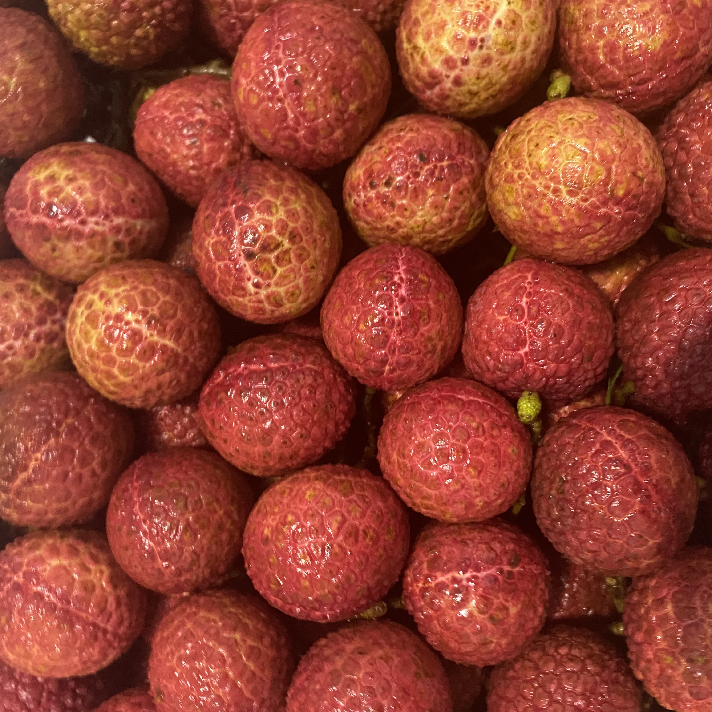 【4斤装】桂味荔枝【净果！新鲜到货】