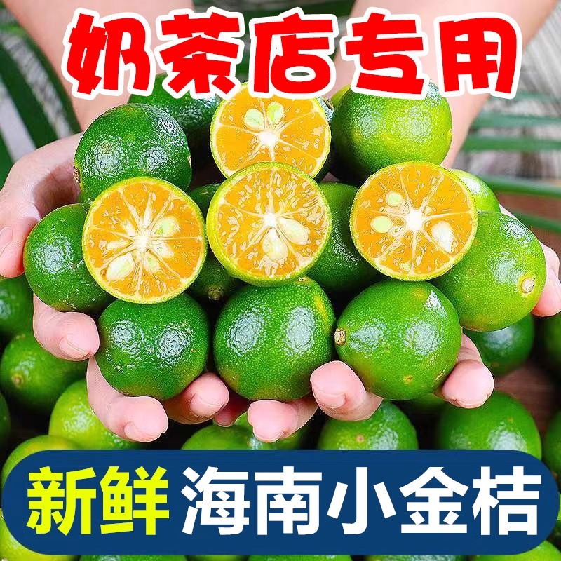 新鲜海南小金桔青桔新鲜青柠檬青柑皮薄多汁酸应季当季水果奶茶店