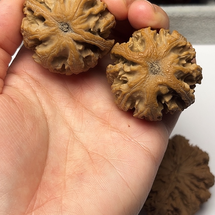 秦岭文玩核桃核桃