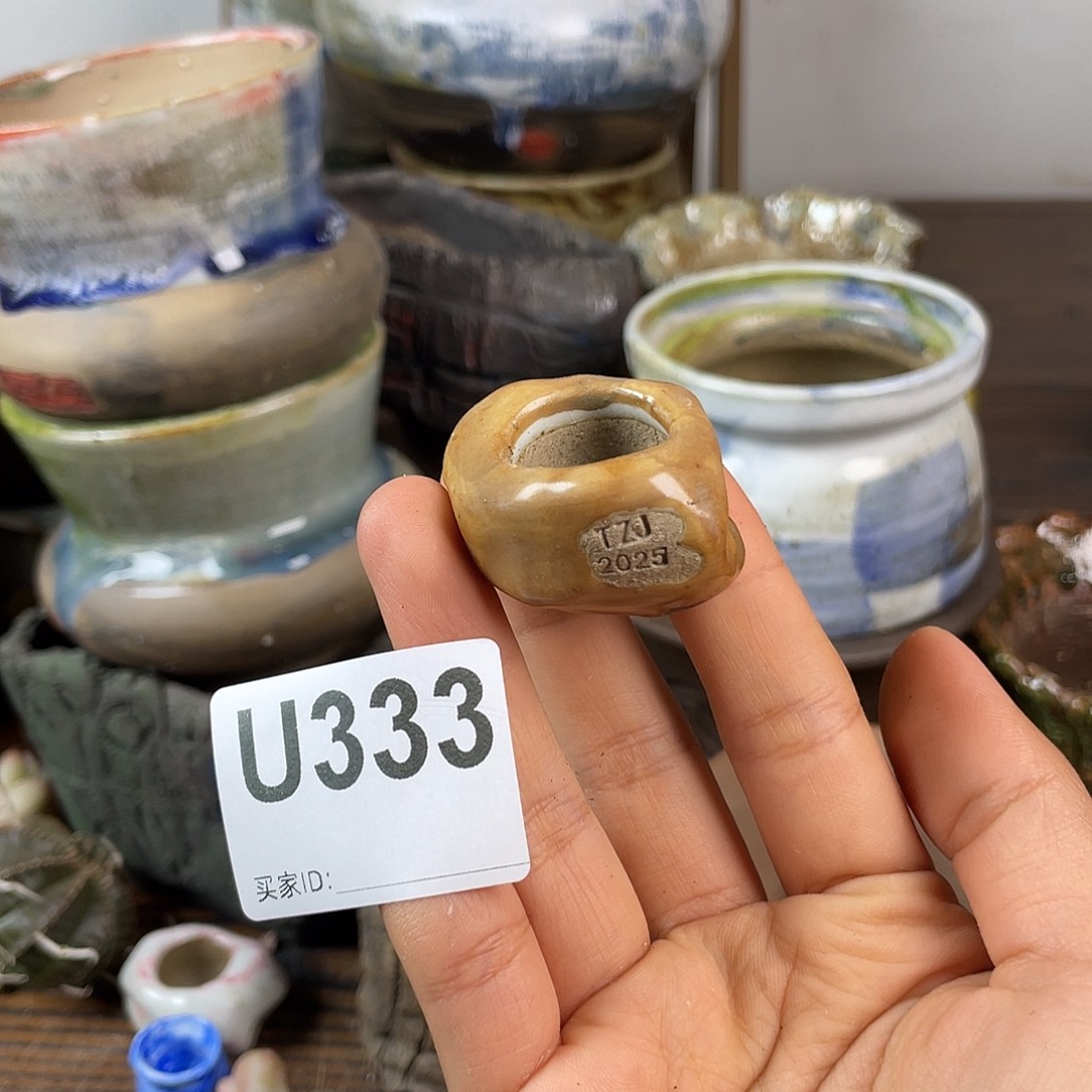 默认微次 跨年福利  坛子姐花盆