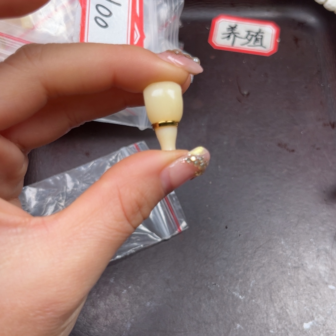 驼骨手串/手链编号102