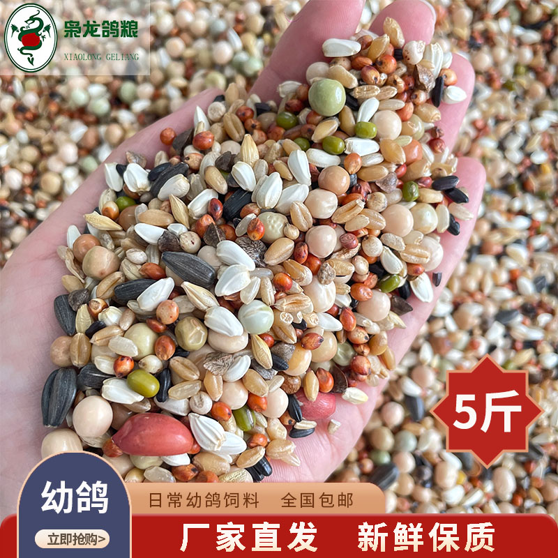 枭龙 日常幼鸽粮 有花生米 赛鸽信鸽观赏鸽广场鸽子食24省包邮