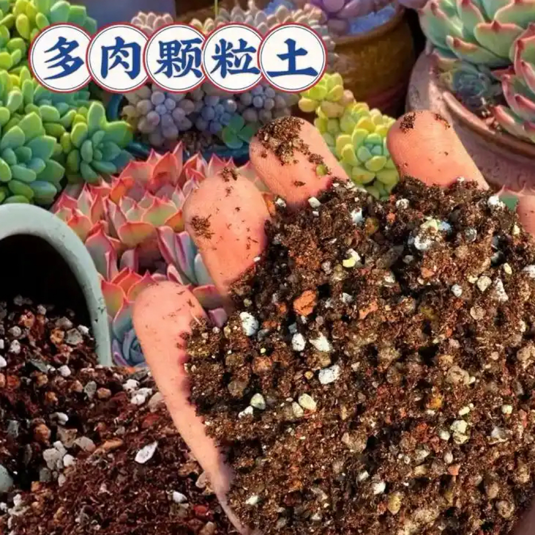多肉专用颗粒土营养土（5斤装）