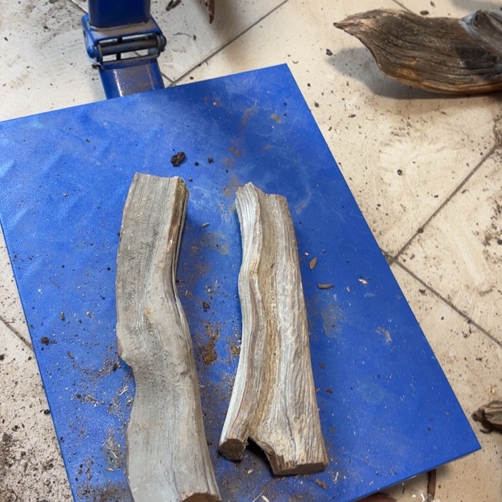 云***海太行崖柏太行崖柏