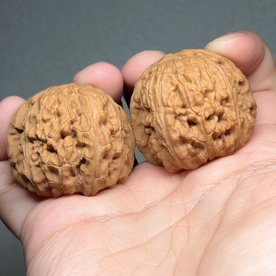 核桃其他39半全品白狮子 6