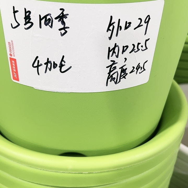 特价5号口29高24.5白色5只无托