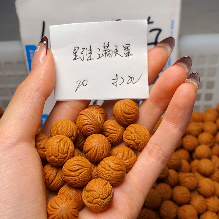 手串桃核14mm左右野生满天星20颗（打孔）