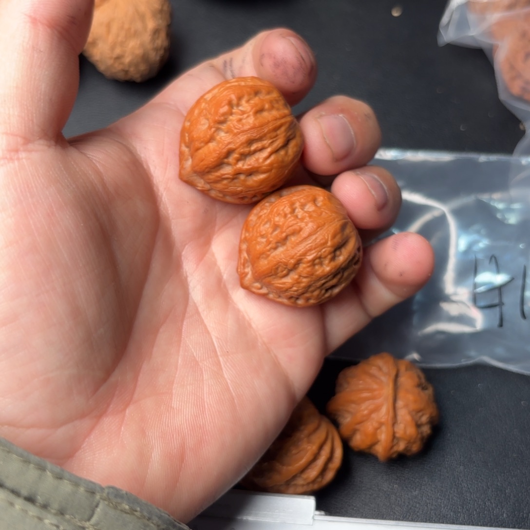 把件文玩核桃71000000