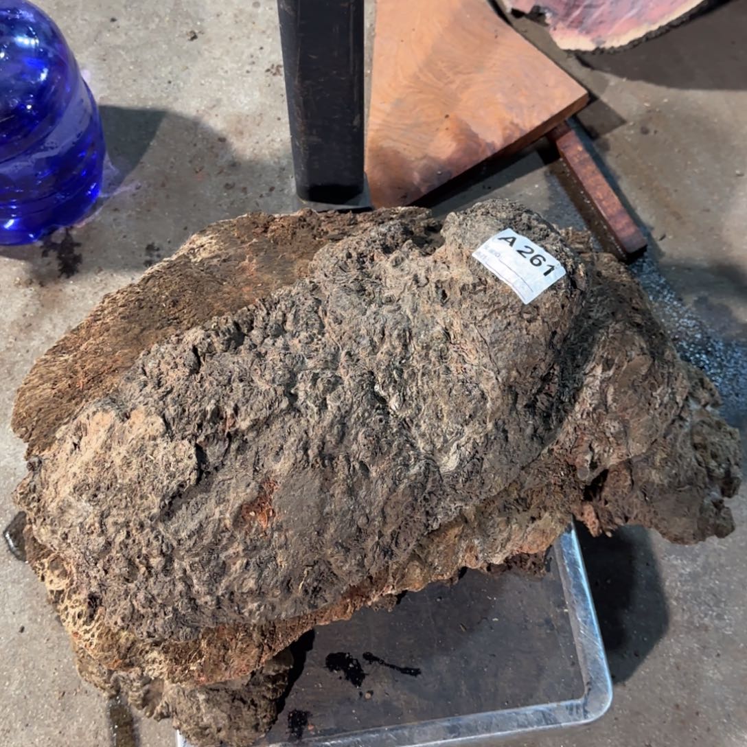 永***弃花梨木类261花梨木