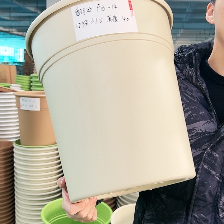 正品翻边口37.5高40米色无托3只