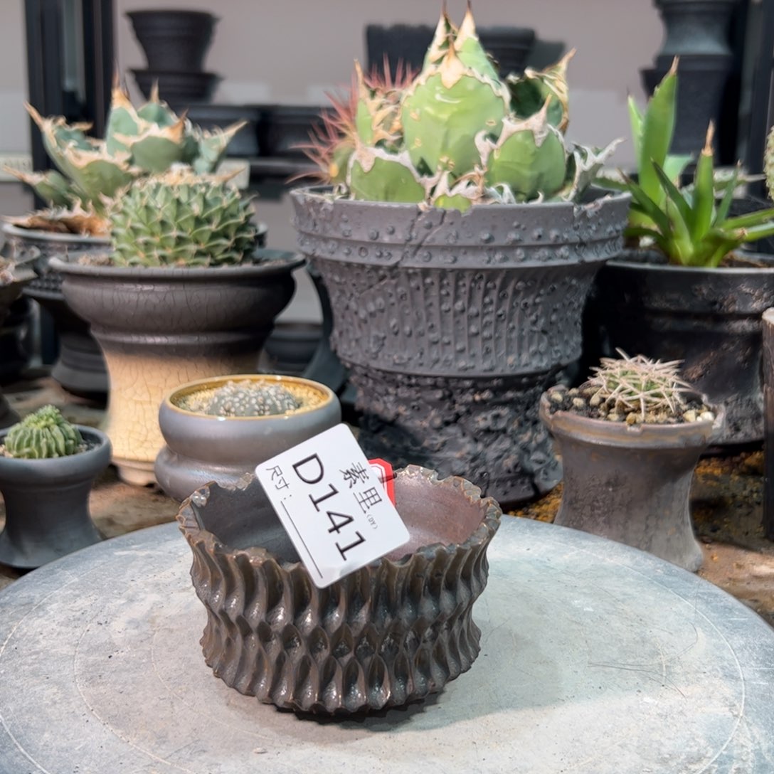 景德镇手工素里内口9高5.5