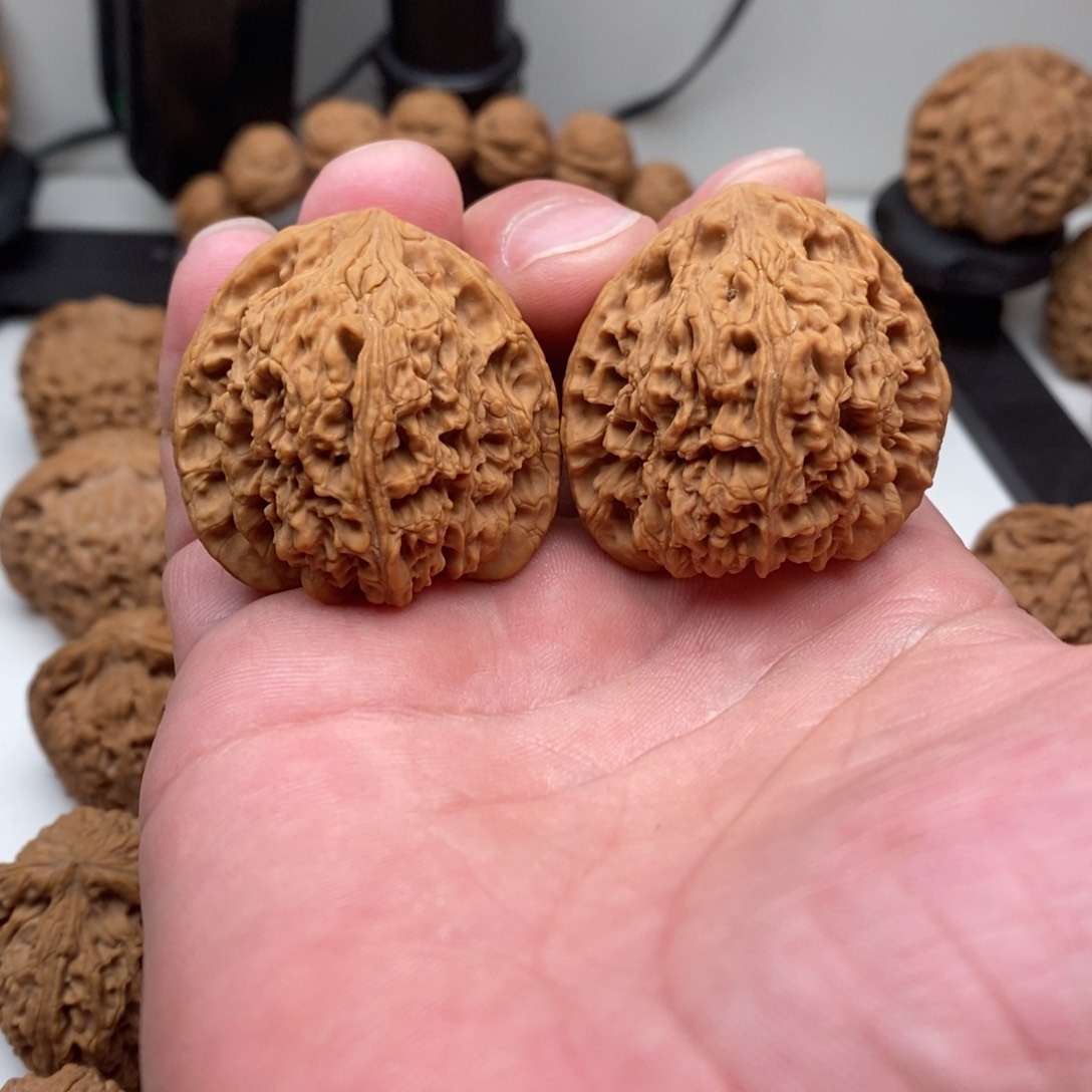 文玩核桃吊坠逐鹿南将石40