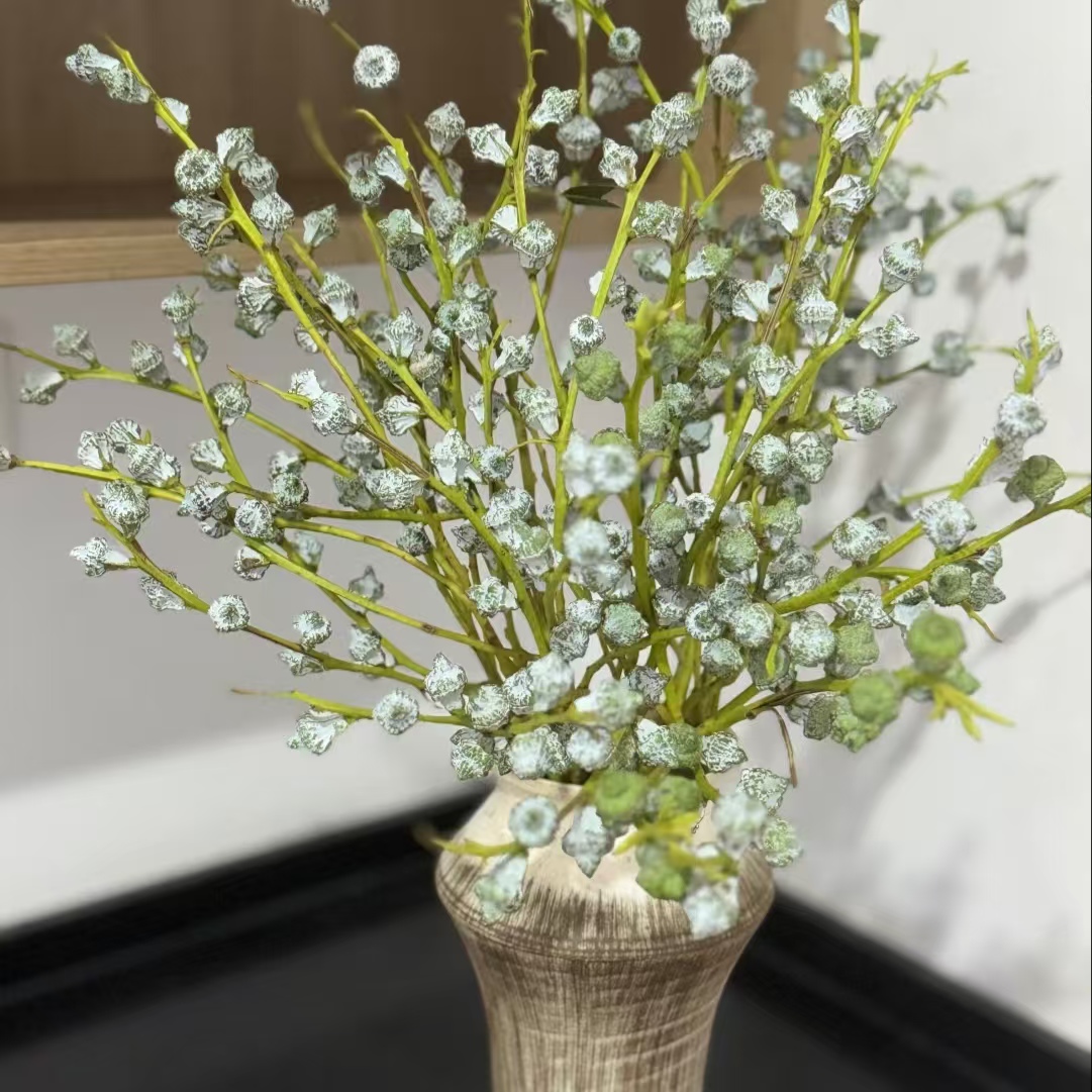 【尤加利果1扎】2单升级顺丰冷链/德邦空运