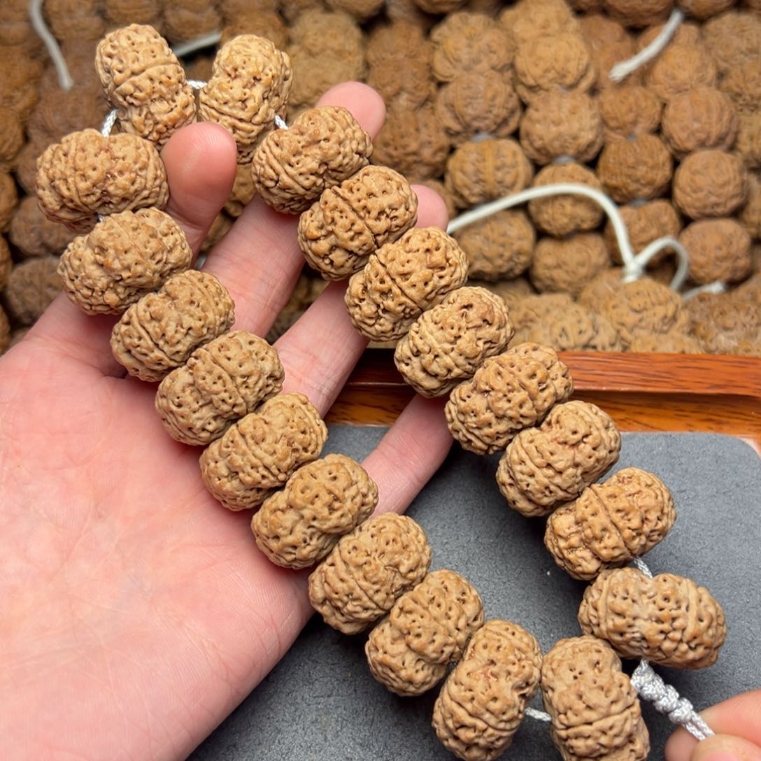 菩提27号尼泊尔大金刚24梅花夹板头货手持