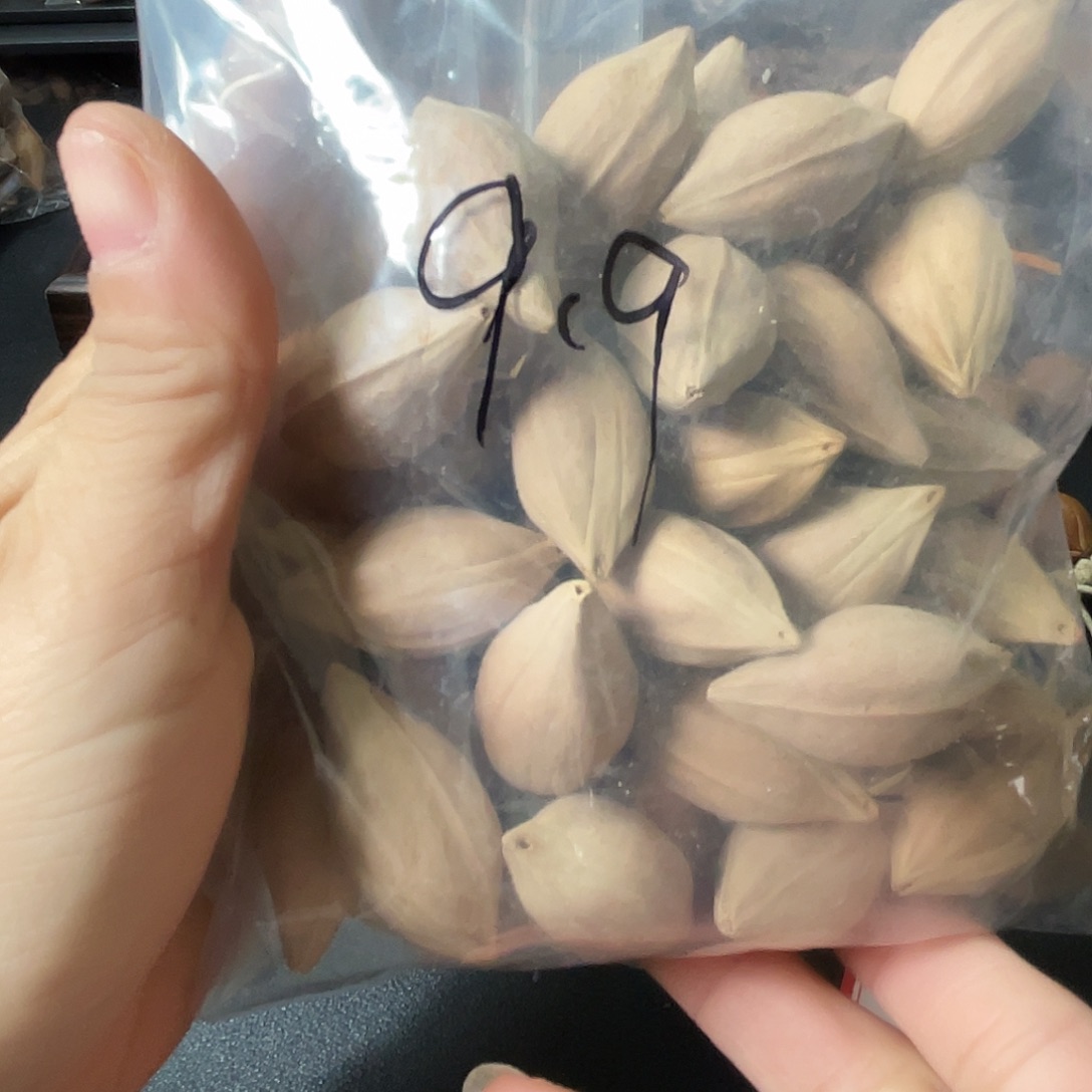 吊坠龙脊菩提如意吉祥幸福
