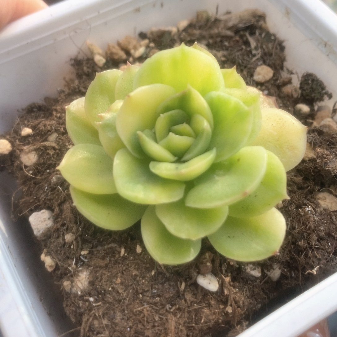 181冰河世纪锦锦锦锦锦