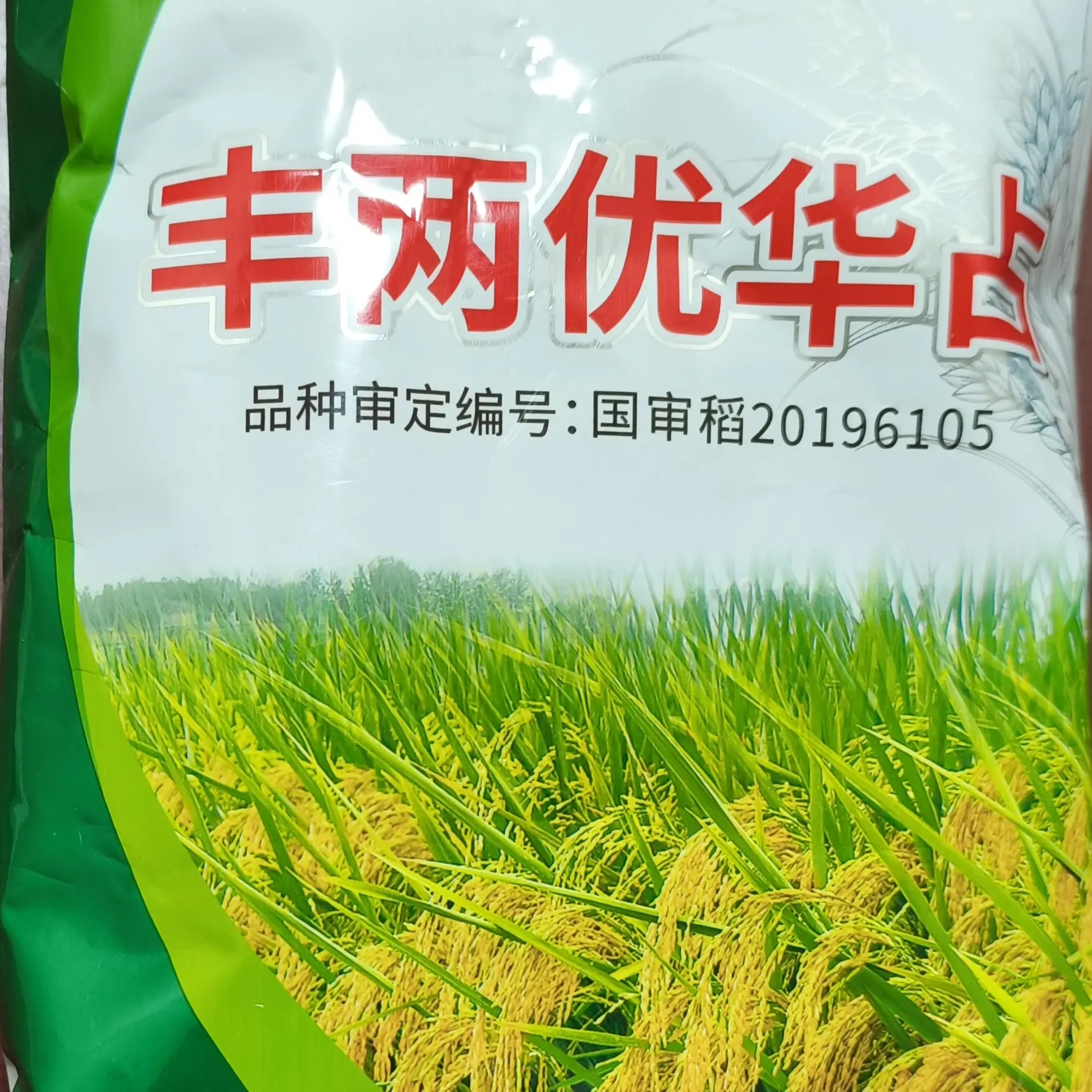 丰两优华占，国投丰乐，水稻种子，高产稳产抗性强，米饭香好吃的香稻