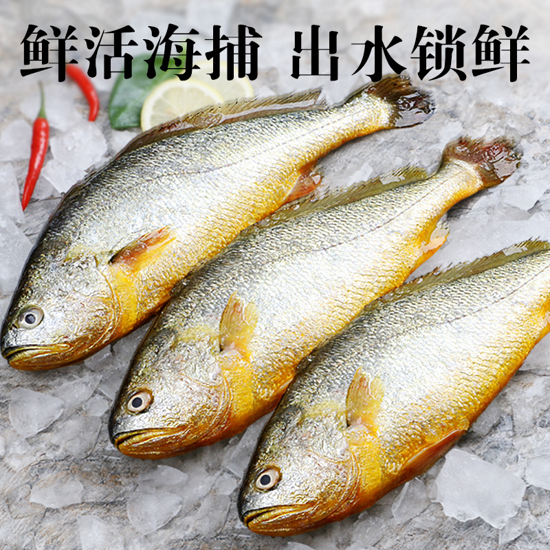 ���Ʊ�ר�����������»ƻ��������䶳250g*6�����ʲ����ʶ�˳�ᷢ�� 109Ԫ