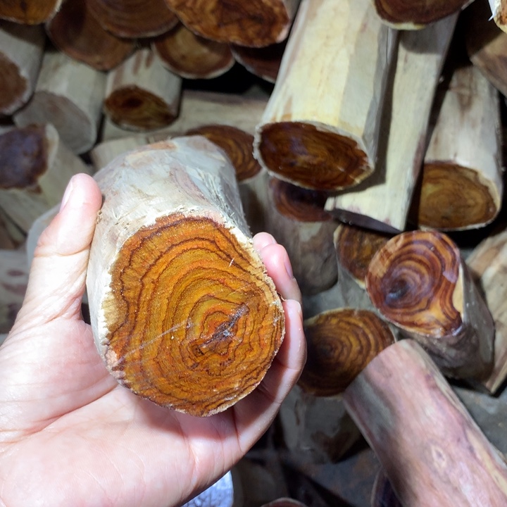 北***型花梨木类海南黄花梨