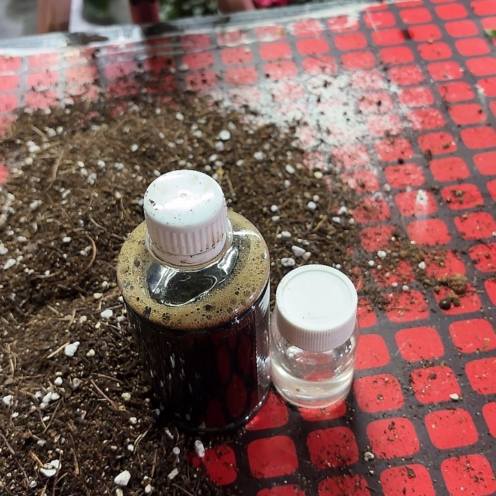 完全开放小黑瓶三斤水