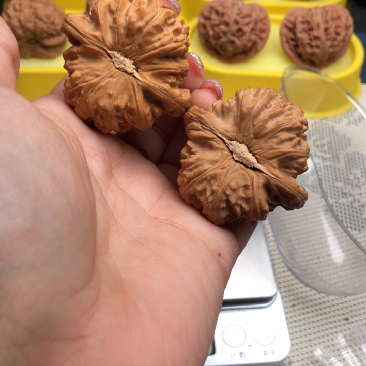 吊坠文玩核桃42尺寸三角白
