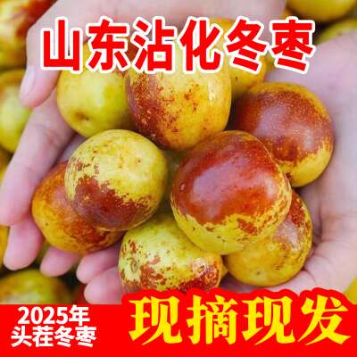 正宗山东沾化现摘冬枣新鲜脆甜多汁当季应季水果十二