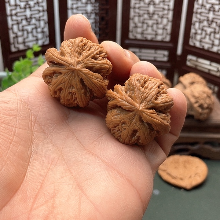 偂***丗把件文玩核桃粗筋